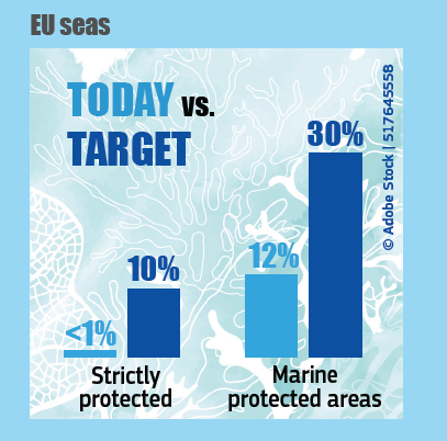 EU seas, today vs. target. Today below 1% is strictly protected compared to 10% target. Today there are 12% marine protected areas compared to 30% target. 