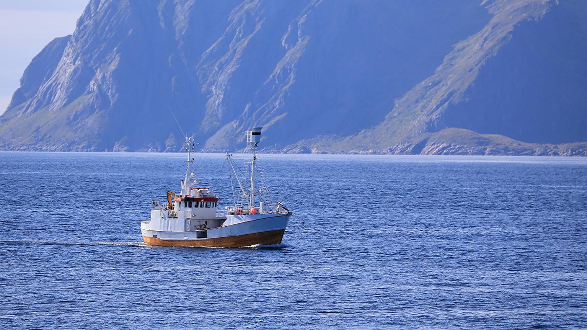 The EU reaches agreements with Norway, the United Kingdom and bilaterally with Norway on fishing opportunities and access to waters for 2024