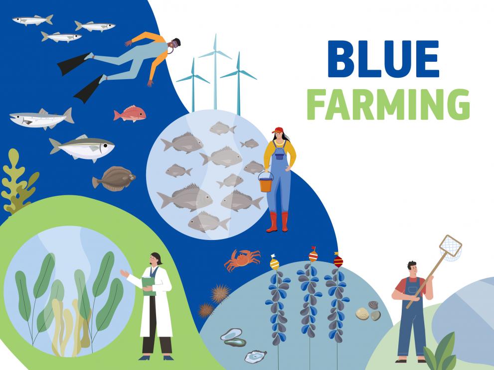 Blue farming