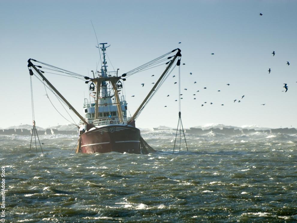 Fishing vessel © Eric Gevaert/Adobe Stock