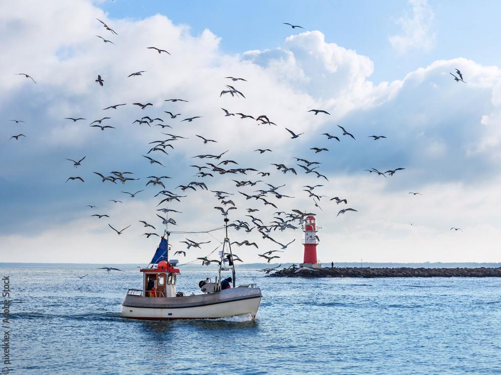 Fishing boat with seagulls in Warnemuende near Rostock, Germany © pixelklex / Adobe Stock