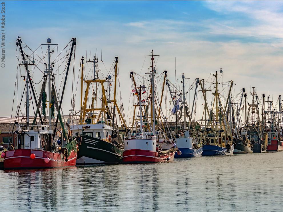 Fishing boats in the harbor of Buesum on the North Sea, Germany © Maren Winter / Adobe Stock