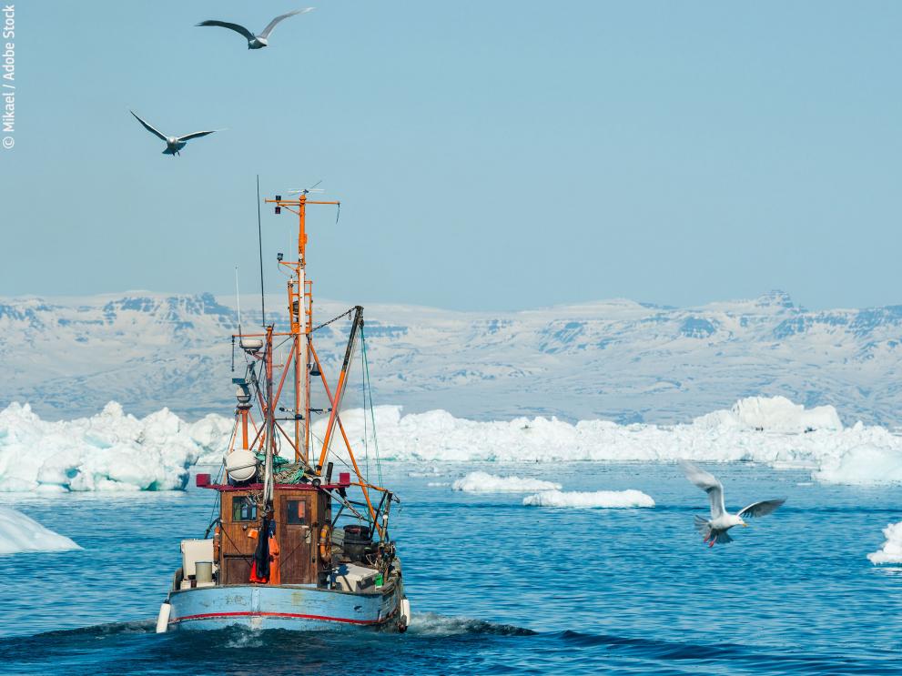 Fishing boat sailing through snowy waters, Greenland © Mikael / Adobe Stock
