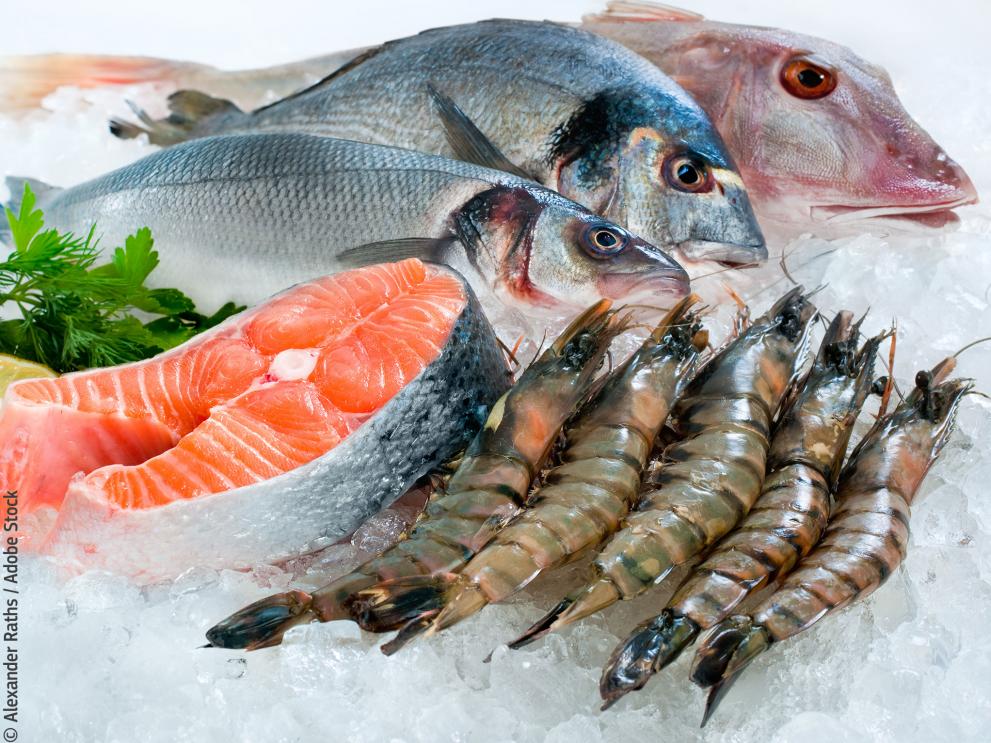 Fish and clearance seafood