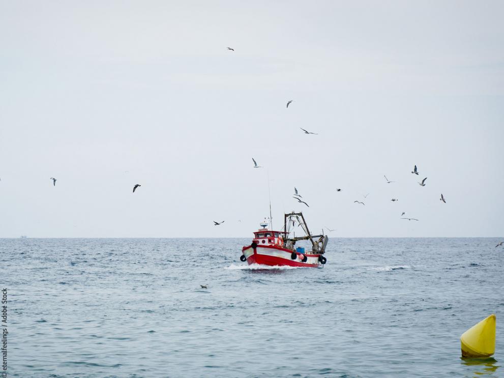 Fishing trawler © eternalfeelings / Adobe Stock