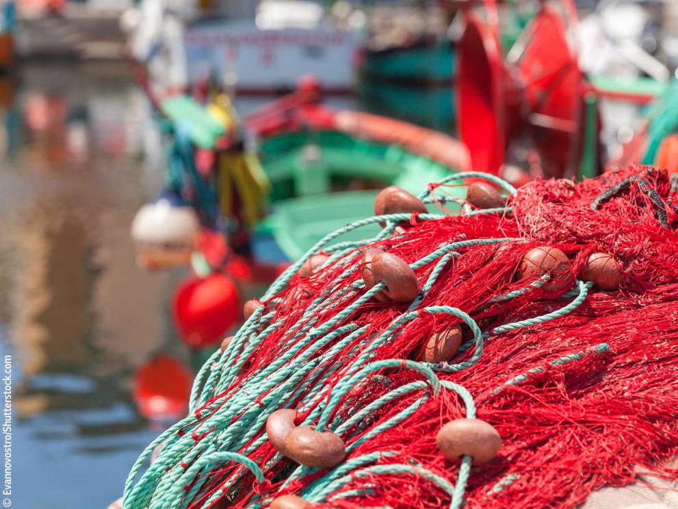 Red fishing net © Evannovostro/Shutterstock.com