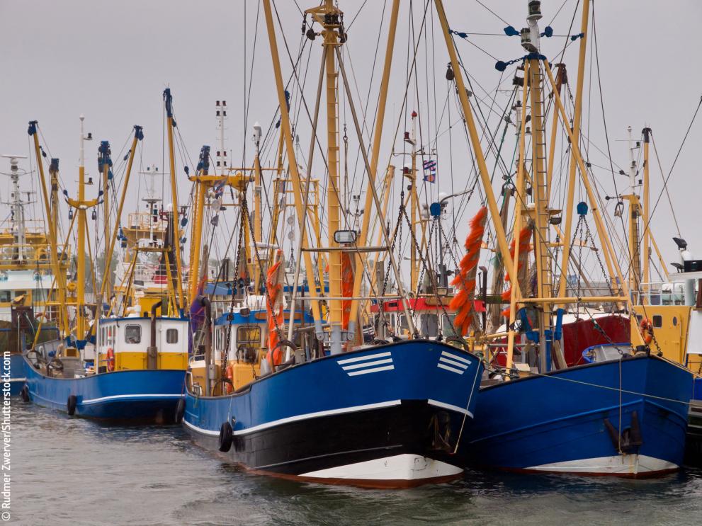 Fishing fleet at Lauwersoog, The Netherlands © Rudmer Zwerver/Shutterstock.com