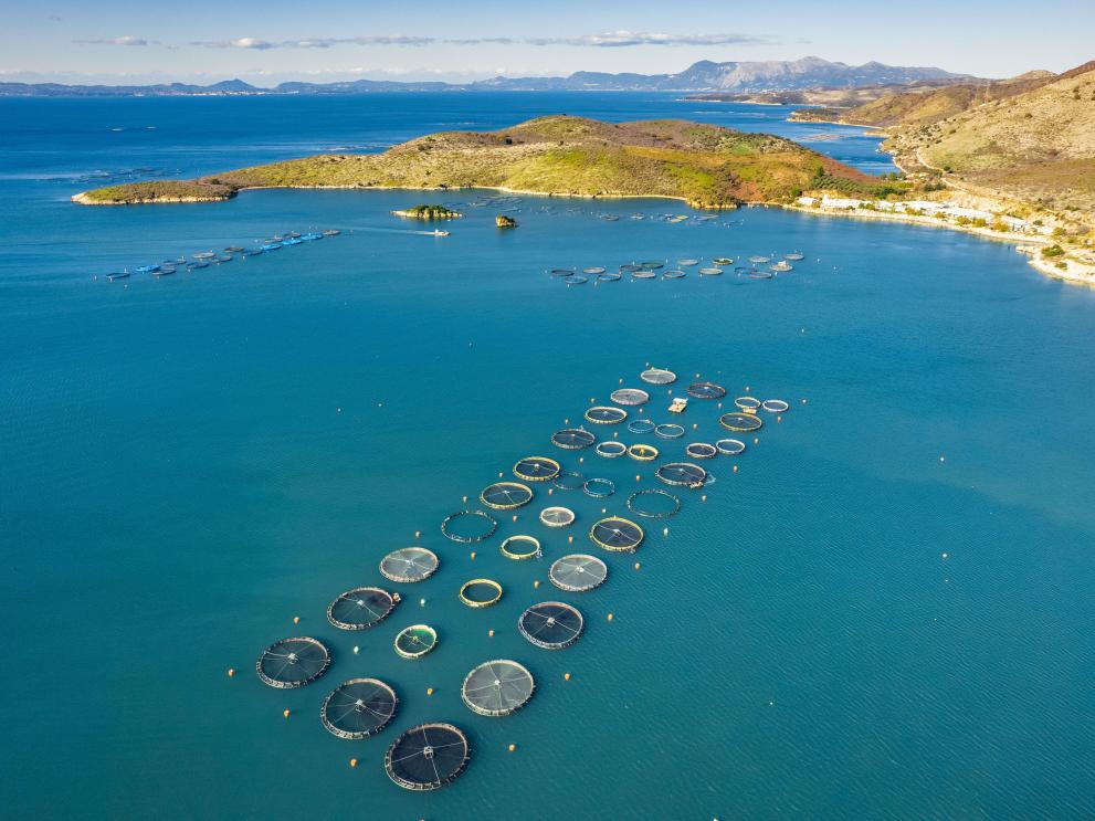 Aquaculture in Greece