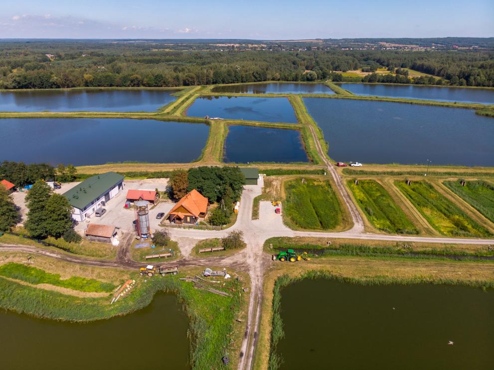 Construction of small freshwater fish processing plant, Poland © Ministry of Agriculture and Rural Development, Poland.