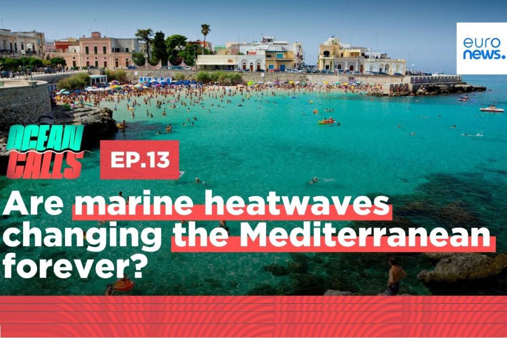 Ocean calls marine heatwaves