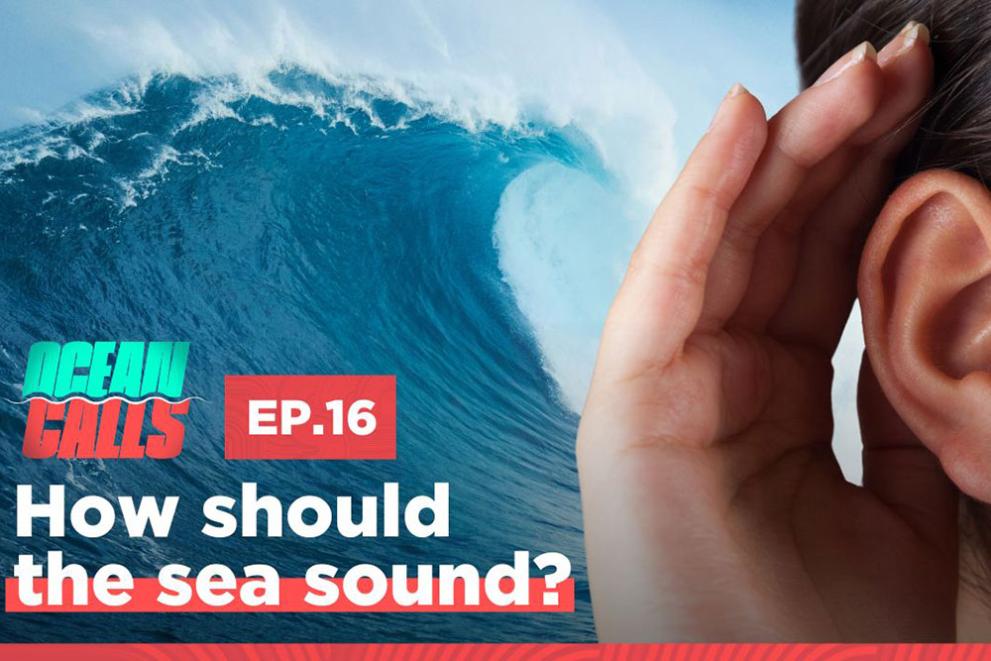 OCEAN CALLS Podcast – How should the sea sound thumbnail