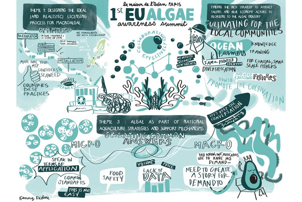 Drawing by Fanny Didou from the Algae Awareness summit