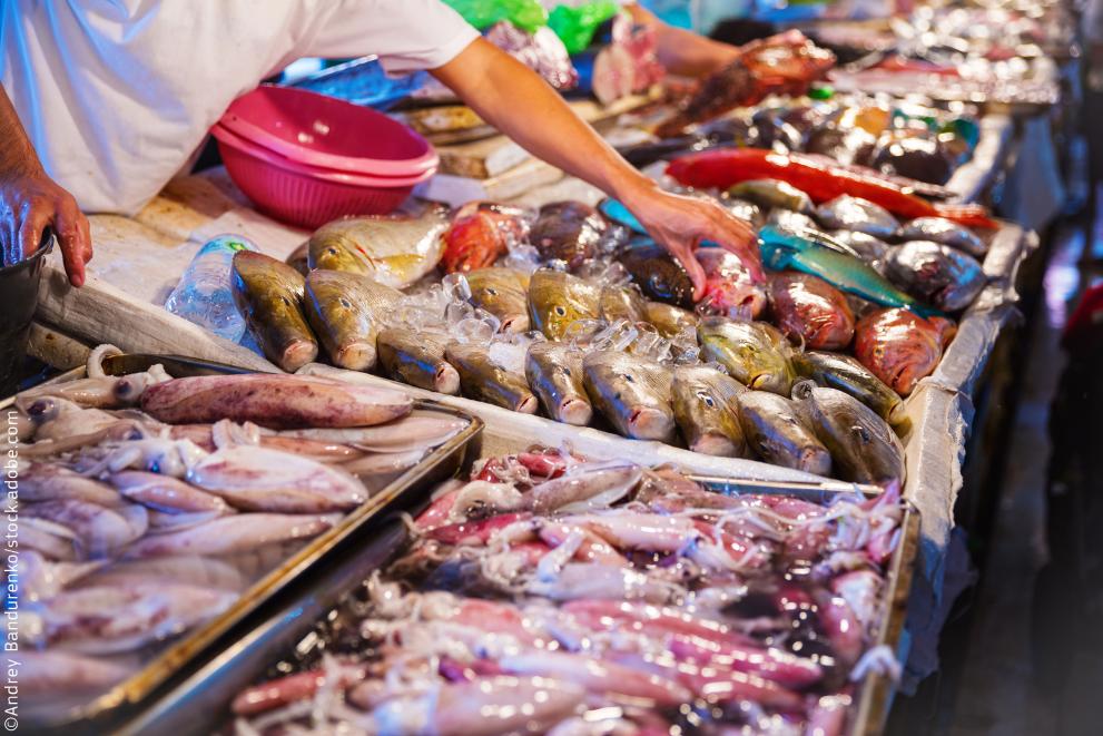 Different kinds of seafood at fish market ©Andrey Bandurenko/stock.adobe.com