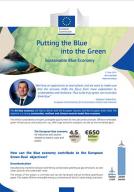 Putting the Blue into the Green factsheet cover