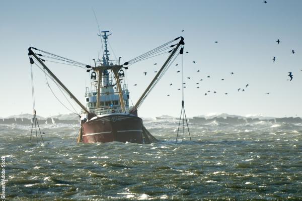 Fishing vessel © Eric Gevaert/Adobe Stock