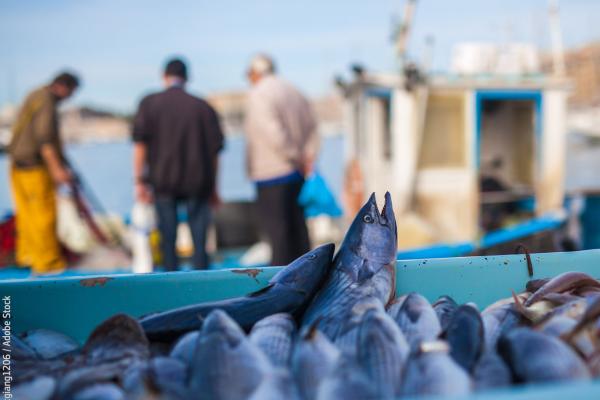 Fish market in Marseille, France © ducgiang1206 / Adobe Stock
