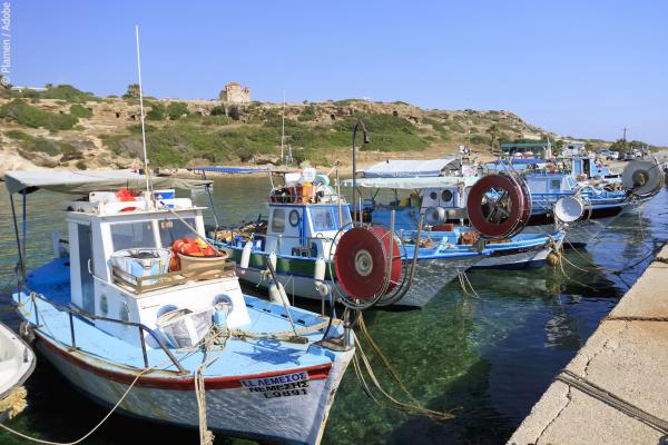 Typical fishing boats moored at Agios Georgios marina, Paphos, Cyprus © Plamen / Adobe Stock
