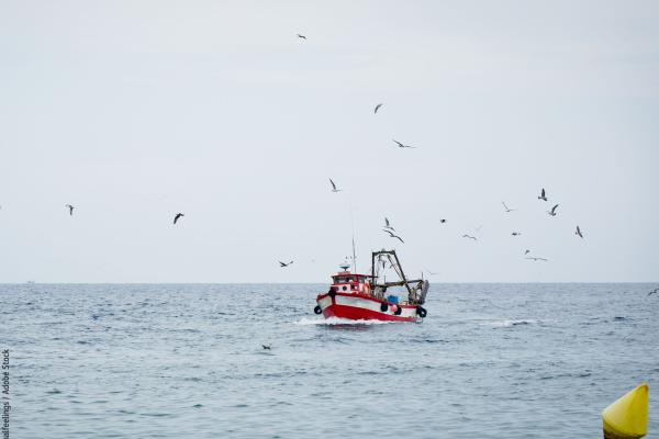 Fishing trawler © eternalfeelings / stock.adobe.com