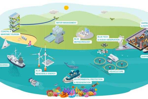 The 10 sectors from the blue economy analysed in the report