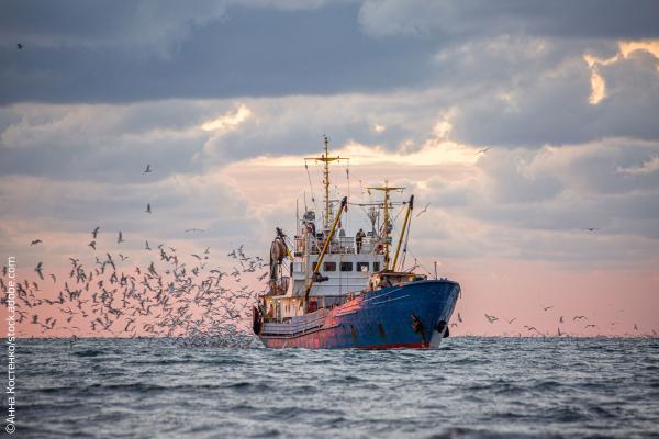 Return of the fishing seiner after the catch ©Анна Костенко/stock.adobe.com