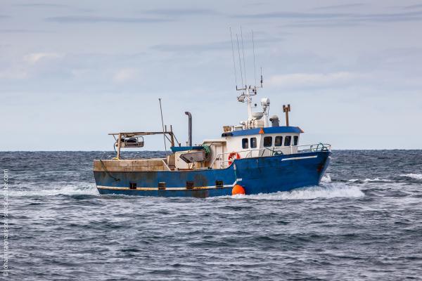 Commercial fishing boat in Icelandic waters ©johannragnarsson/stock.adobe.com