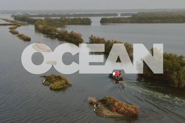 Euronews ocean photo - November 2023