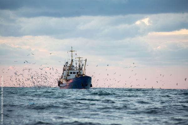 Return of a fishing seiner after the catch ©Анна Костенко/stock.adobe.com