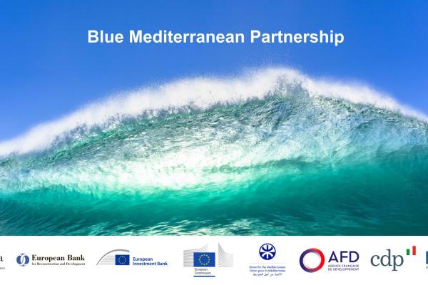 Blue Mediterranean Partnership, photo of a wave
