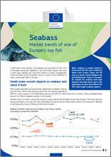 Seabass - Market trends of one of Europe’s top fish fact sheet